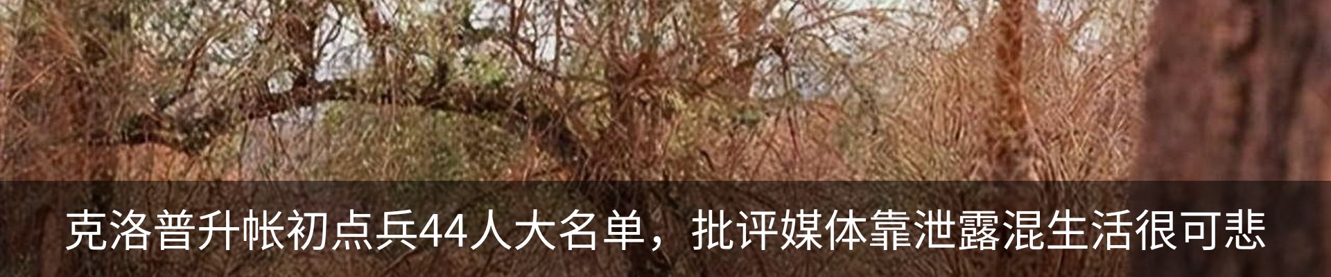 资讯中心