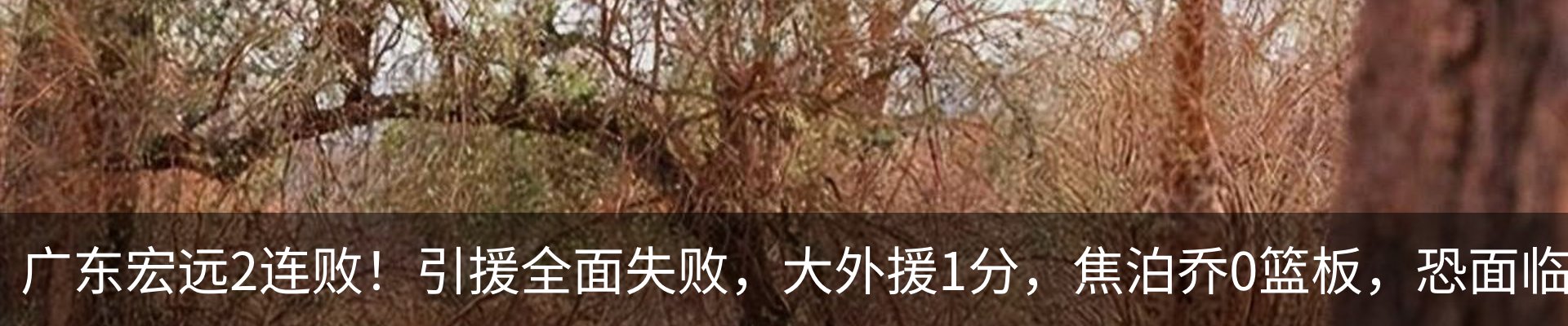 资讯中心