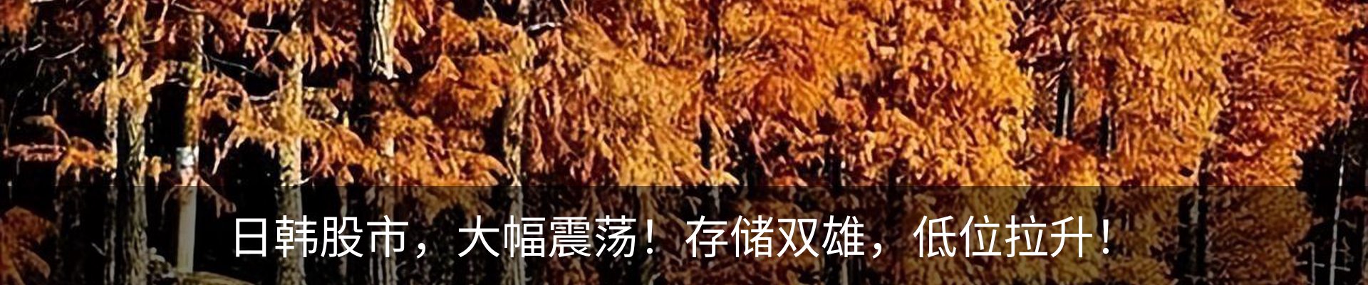 资讯中心