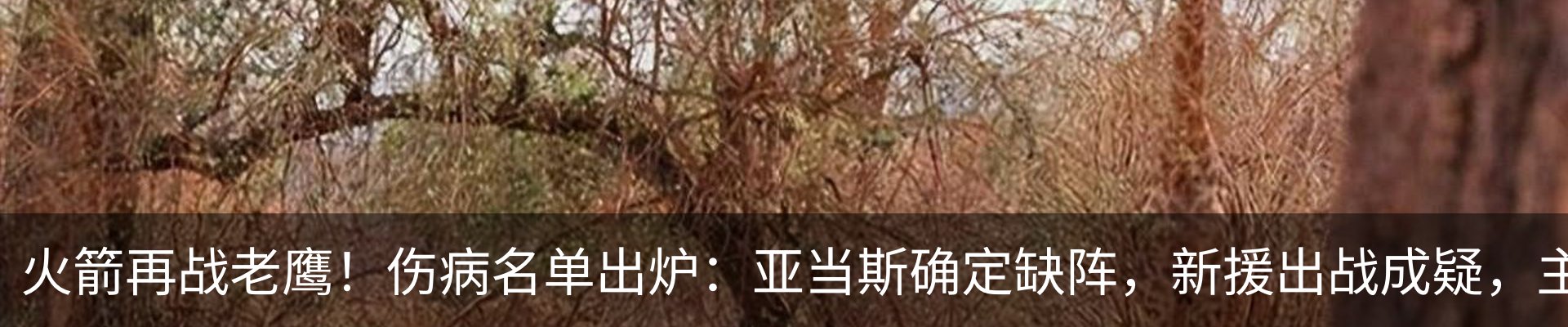 资讯中心