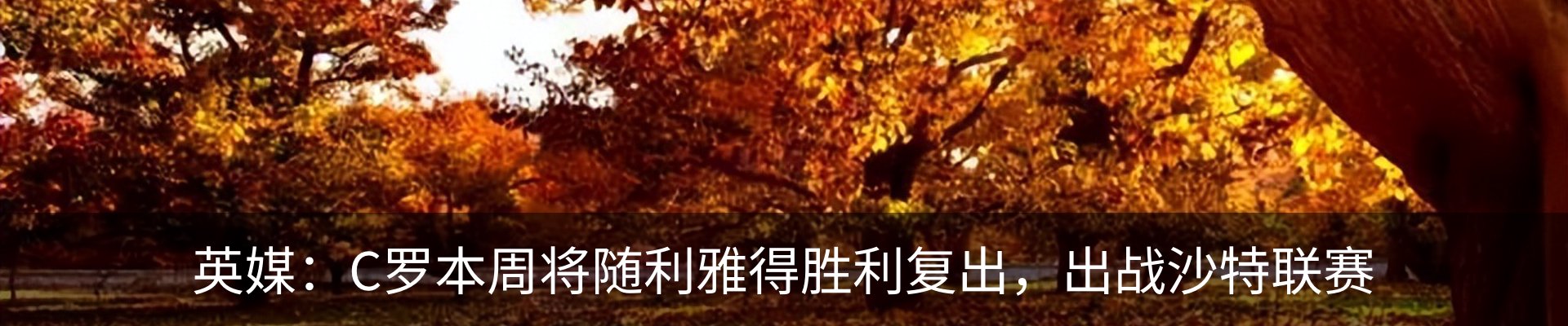 资讯中心
