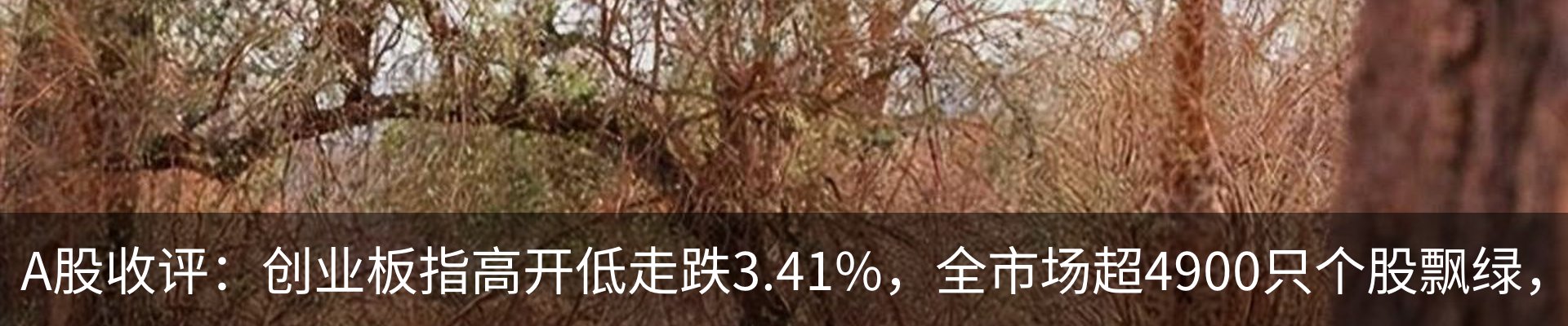 资讯中心